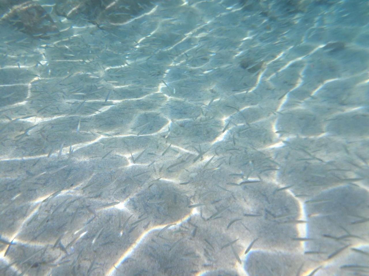Hotel Valemare Tropea Εξωτερικό φωτογραφία